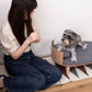 ペットベッド ベッド 楕円 楕円形 犬 猫 犬猫 ペット ペット用ベッド インテリア 一緒 仲良し 寝室 可愛い お洒落 オシャレ 犬用 猫用 ドッグ キャット かわいい おしゃれ シンプル クッション