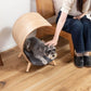 ペットベッド ベッド 犬 犬猫 ペット ペット用ベッド インテリア 寝室 可愛い お洒落 オシャレ 犬用 猫用 ドッグ キャット かわいい おしゃれ シンプル クッション マットレス 枕 マクラ ペット