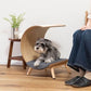 ペットベッド ベッド 犬 犬猫 ペット ペット用ベッド インテリア 寝室 可愛い お洒落 オシャレ 犬用 猫用 ドッグ キャット かわいい おしゃれ シンプル クッション マットレス 枕 マクラ ペット
