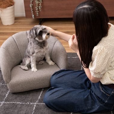 ペットソファ ペットベッド ペット用 ペット用品 ベッド ペット シンプル おしゃれ お洒落 オシャレ 可愛い かわいい 北欧風 北欧 グレー アイボリー ファブリック 灰色 白色 布地 コンパクト 軽