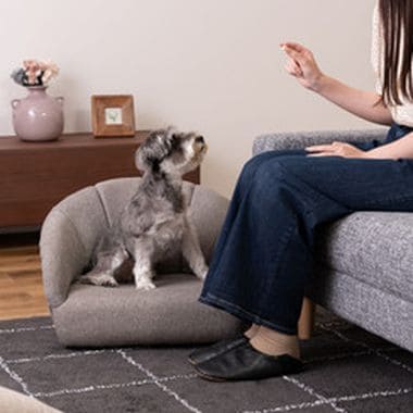 ペットソファ ペットベッド ペット用 ペット用品 ベッド ペット シンプル おしゃれ お洒落 オシャレ 可愛い かわいい 北欧風 北欧 グレー アイボリー ファブリック 灰色 白色 布地 コンパクト 軽