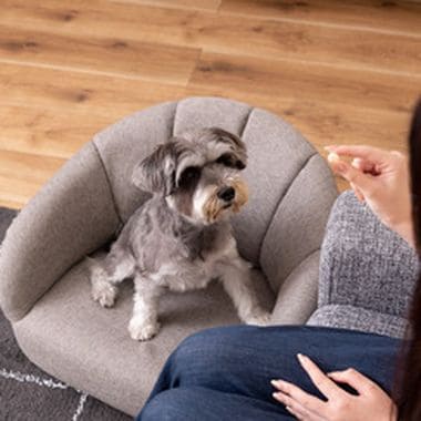 ペットソファ ペットベッド ペット用 ペット用品 ベッド ペット シンプル おしゃれ お洒落 オシャレ 可愛い かわいい 北欧風 北欧 グレー アイボリー ファブリック 灰色 白色 布地 コンパクト 軽