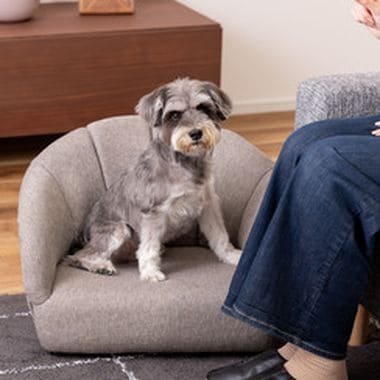 ペットソファ ペットベッド ペット用 ペット用品 ベッド ペット シンプル おしゃれ お洒落 オシャレ 可愛い かわいい 北欧風 北欧 グレー アイボリー ファブリック 灰色 白色 布地 コンパクト 軽