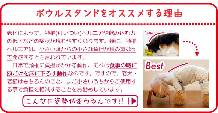 M フードボウルスタンド 1皿