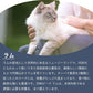 ジウィピーク キャット缶 ラム | ジウィピーク キャット缶 キャットフード ZiwiPeak 猫 ziwi ziwipeak ラム ウェットフード ジウィ 猫用 ZIWI グレインフリー 穀物不使用 猫缶 ニュージーランド