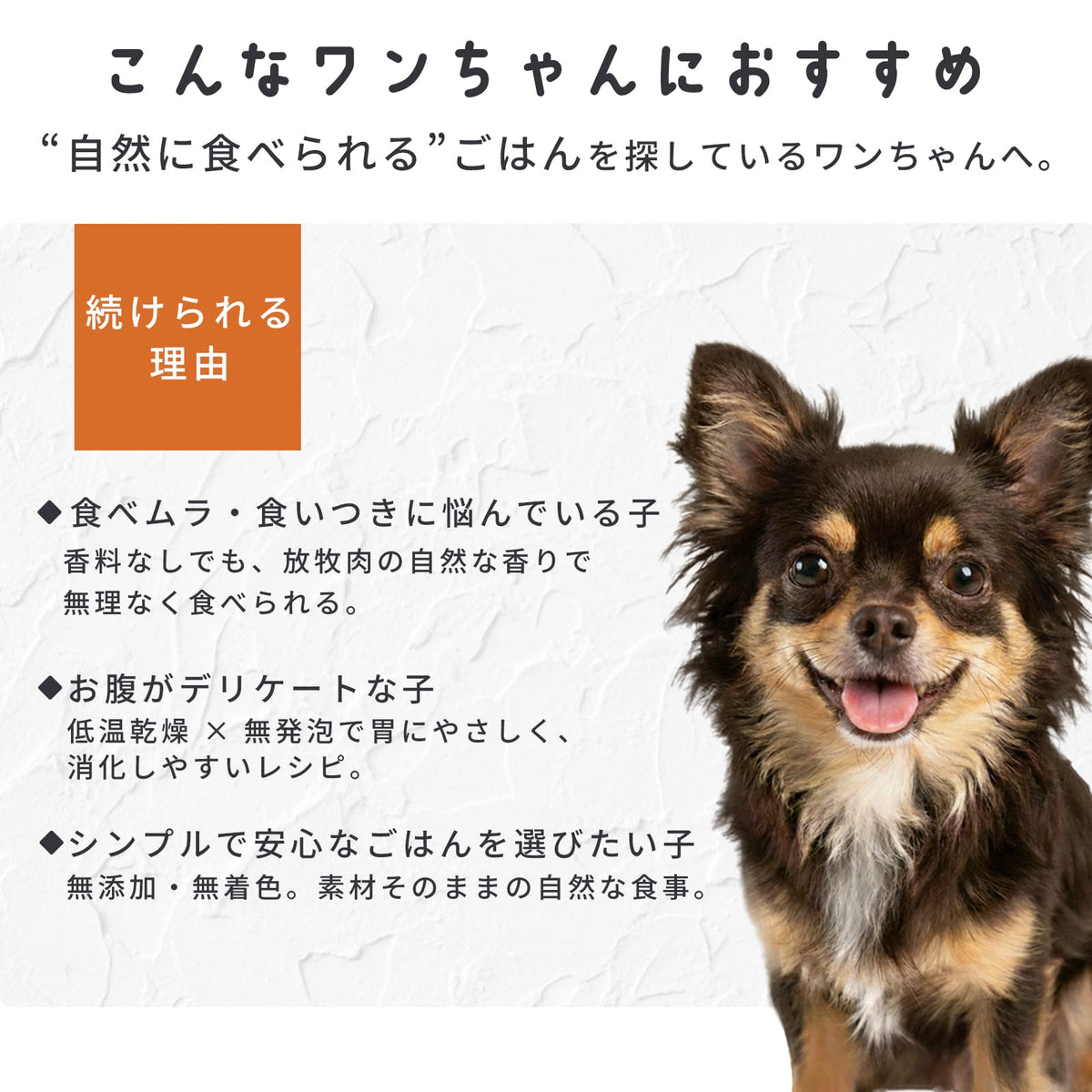 オリジナルドッグフード JYULLフード 1.8kg | オーストラリア産 無添加 全犬種用 送料無料