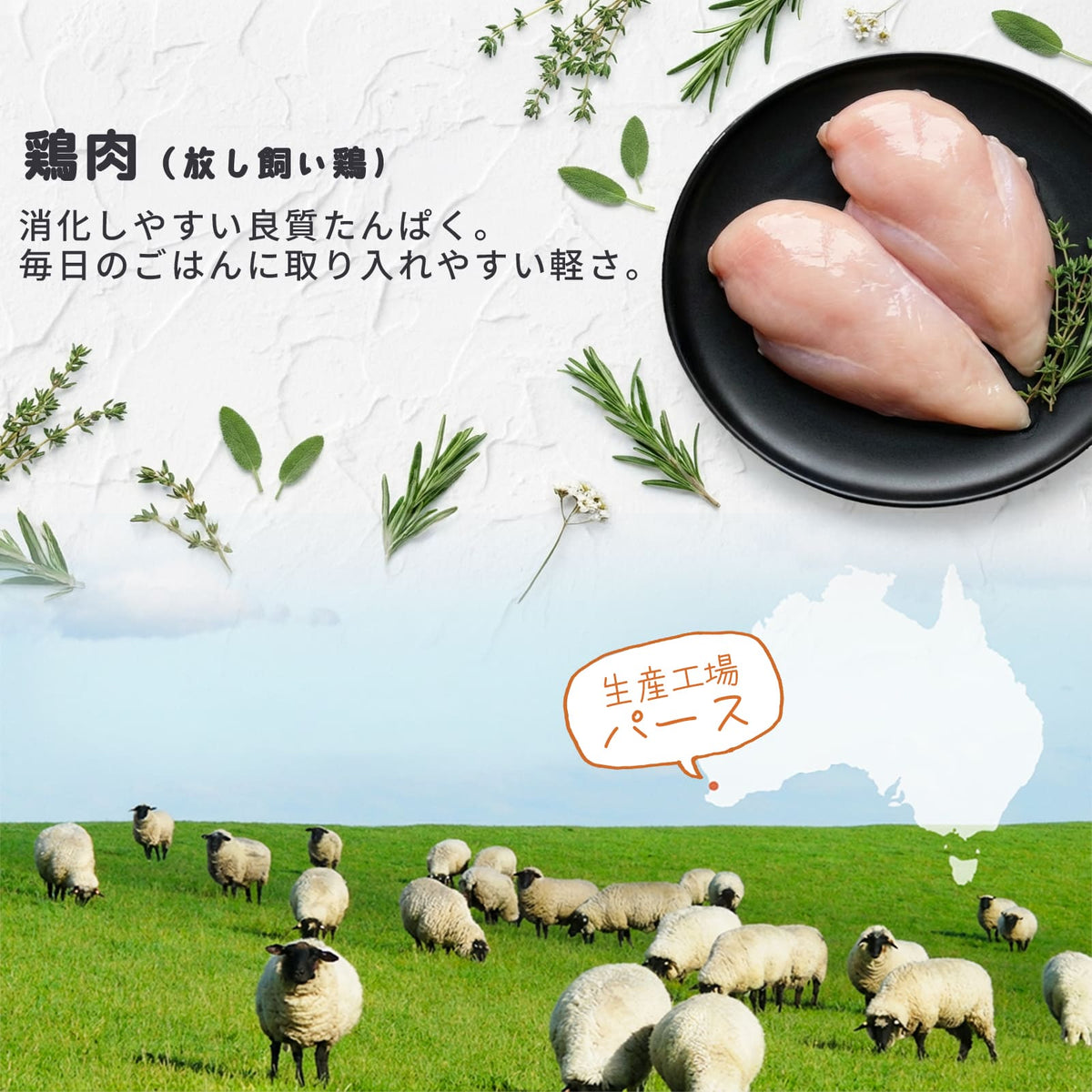 オリジナルドッグフード JYULLフード 8kg | オーストラリア産 無添加 全犬種用 送料無料