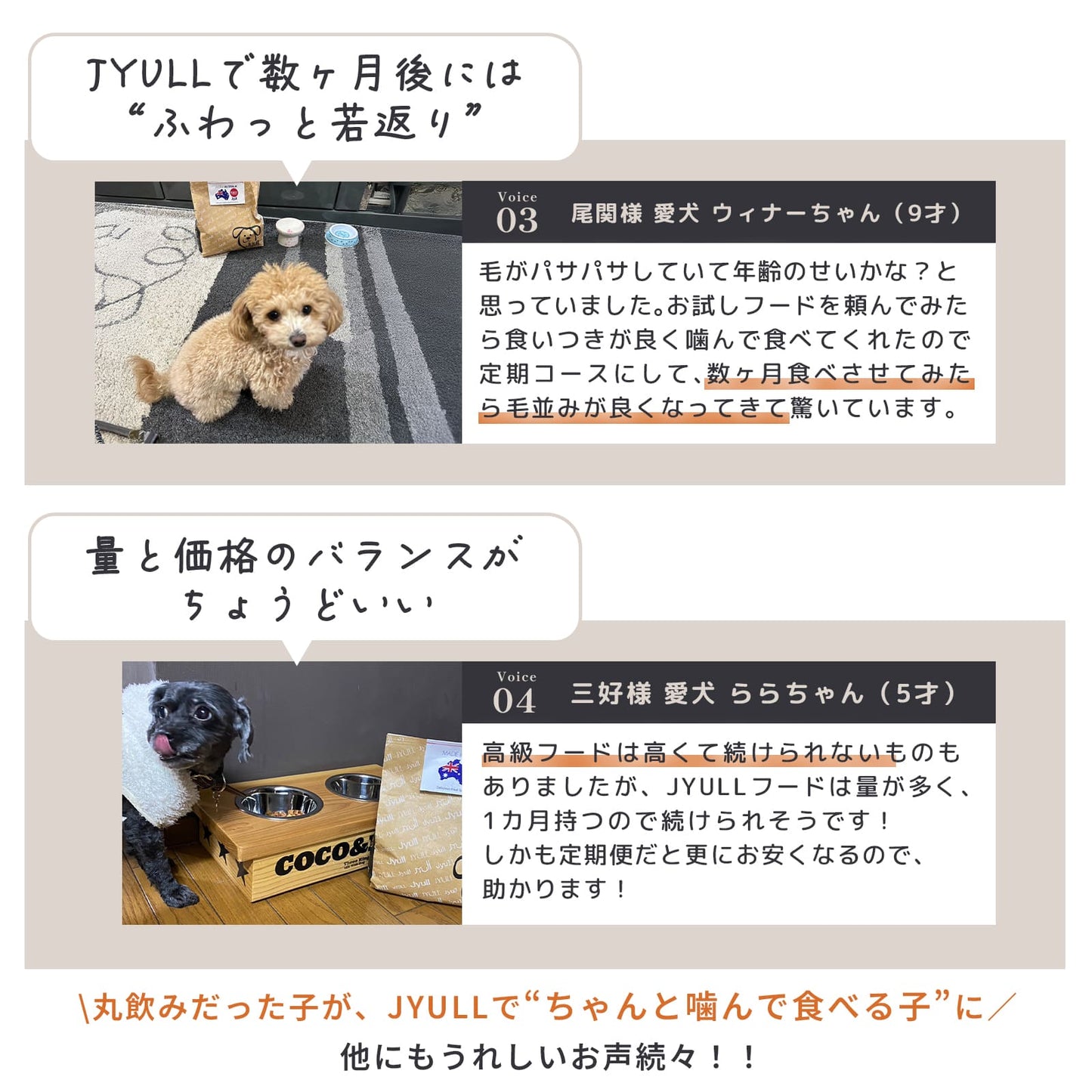 オリジナルドッグフード JYULLフード 1.8kg | オーストラリア産 無添加 全犬種用 送料無料