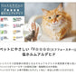 ペットソファ 国産 日本製 Manon マノン 国産 手づくり 職人 頑丈 リラックス 犬 猫 いぬ ねこ ドッグ キャット インテリア コンパクト