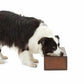 M ペット フードボウル 2皿  犬 猫 食器 エサ入れ 餌入れ 高さ スタンド 木製 台付き 大型犬 中型犬 イヌ ネコ ステンレス おしゃれ