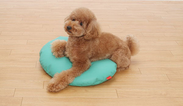 Mサイズ 床ずれ防止・防水クッション 介護 クッション 寝たきり 床ずれ 清潔 安全 老犬 クリニック