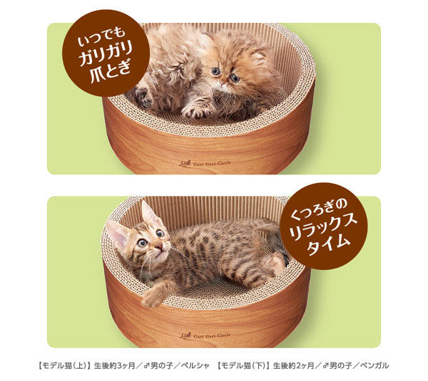 サークル型・ミニタイプ 猫用 爪とぎ ダンボール | 猫 ネコ 猫用 爪 ツメ つめ つめとぎ 爪とぎ ひっかく ガリガリ インテリア ナチュラル ベージュ ブラウン 猫用品 猫 爪研ぎ